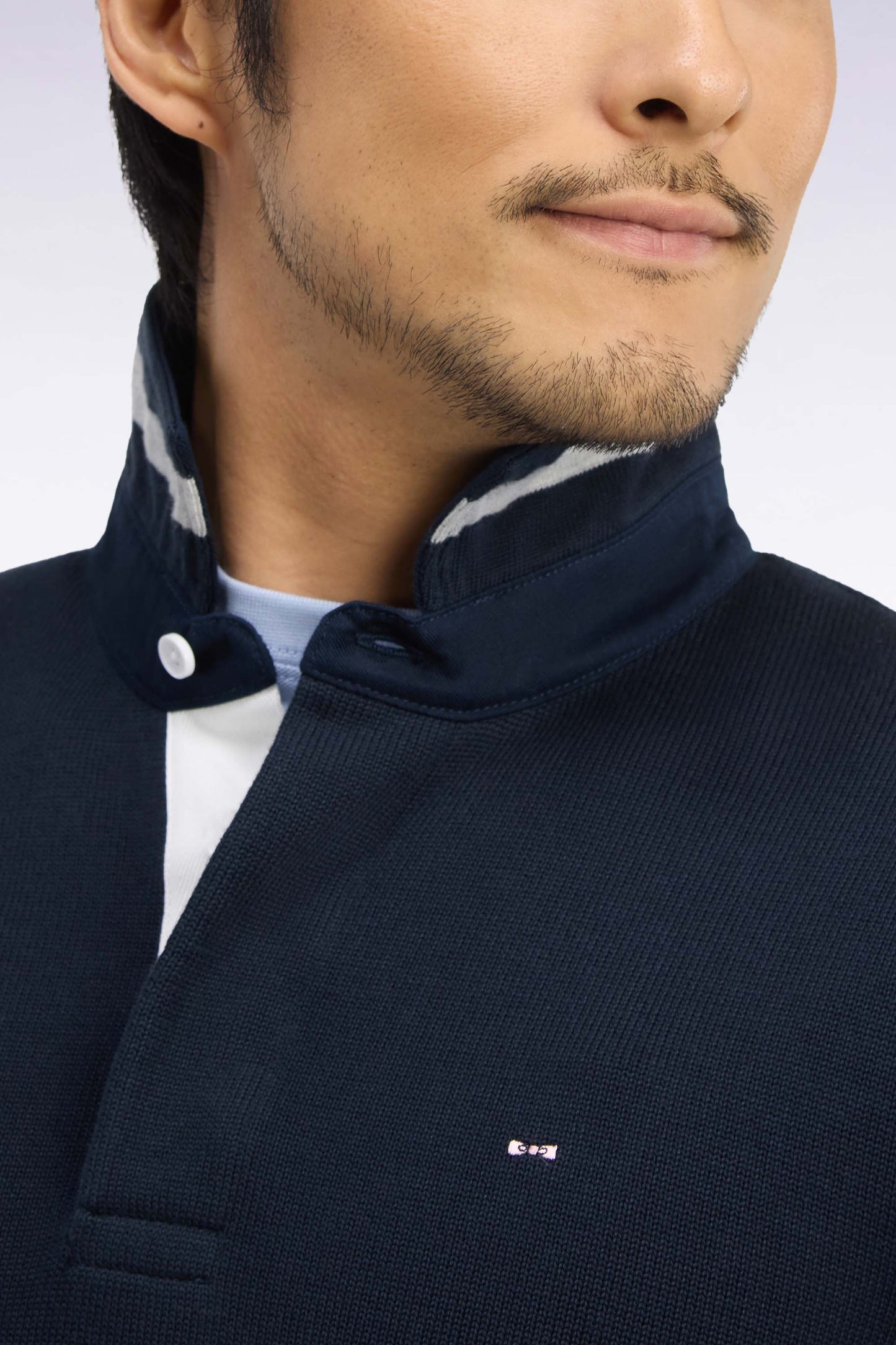 Pull à col maillot en coton tricolore broderie dos coupe regular