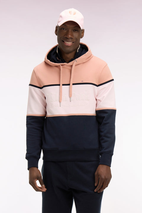 Regular fit pink hooded sweatshirt with embroidered pastel cutouts - Image 3